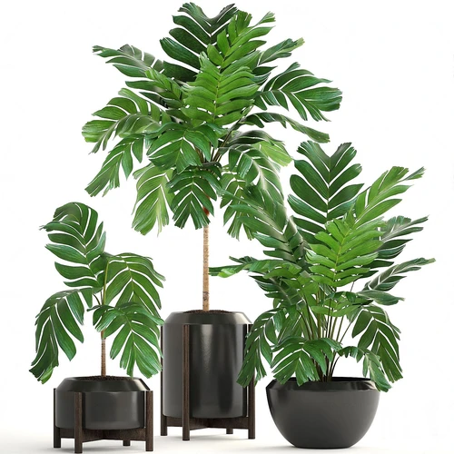 现代绿植盆栽