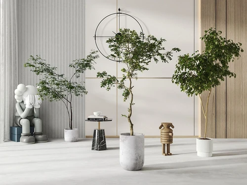 现代绿植盆栽