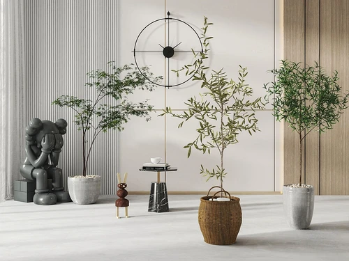 现代绿植盆栽