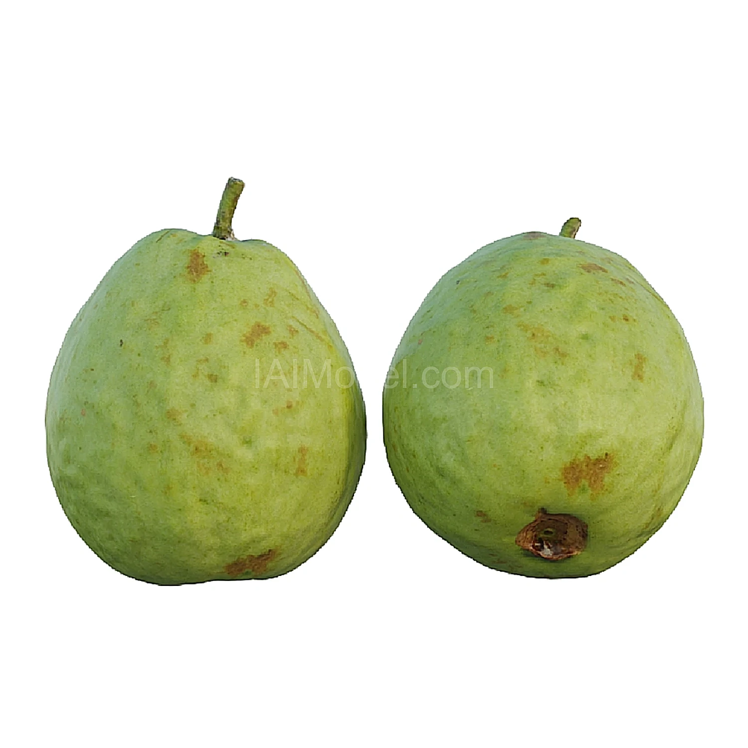 img5