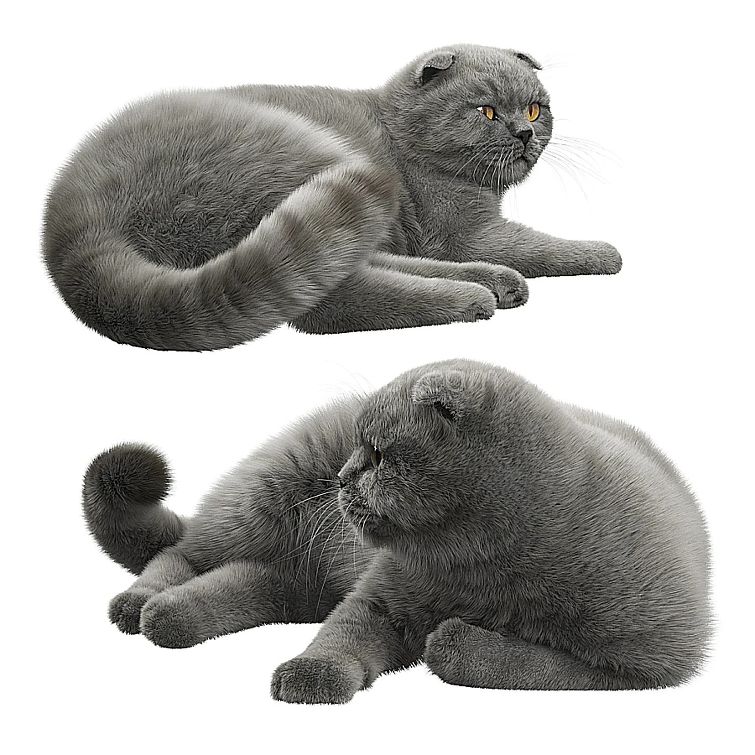 img2