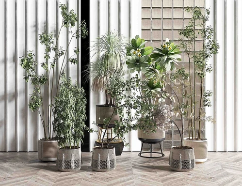 现代绿植盆栽