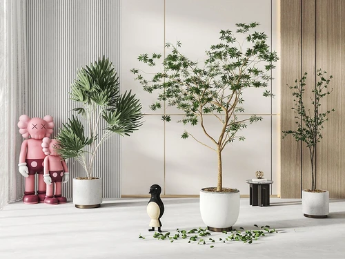 现代绿植盆栽
