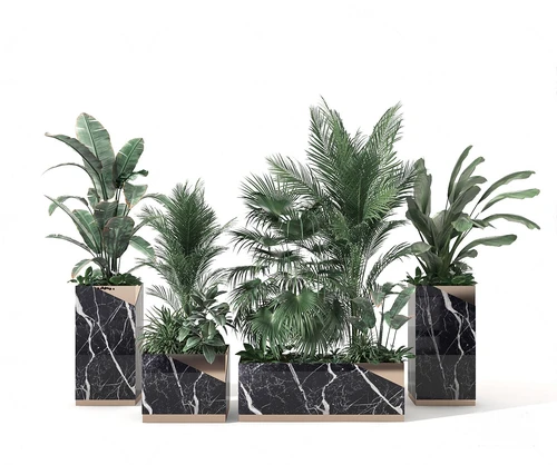 现代绿植盆栽
