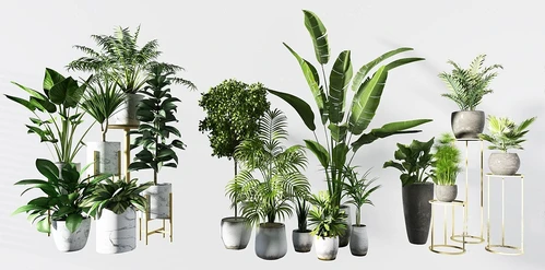 现代绿植盆栽