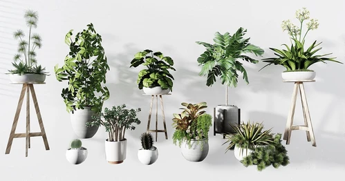 现代绿植盆栽