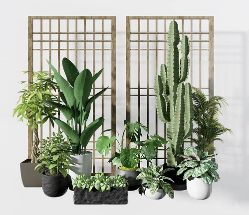现代绿植盆栽