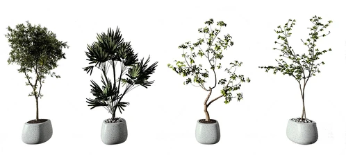 现代绿植盆栽