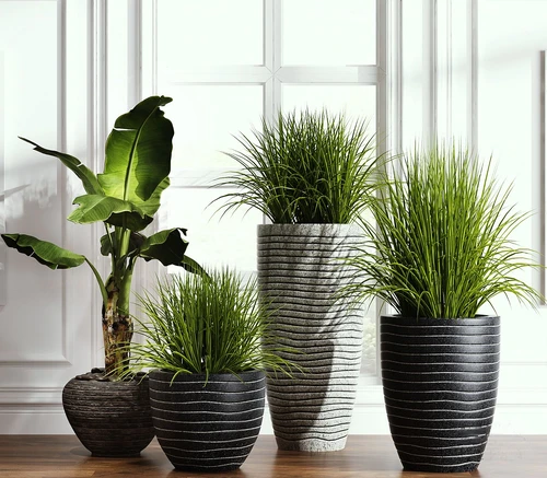 现代绿植盆景