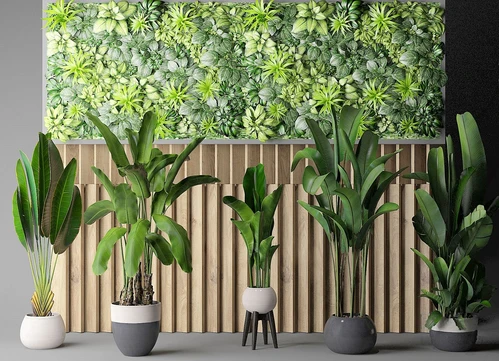 现代绿植盆景