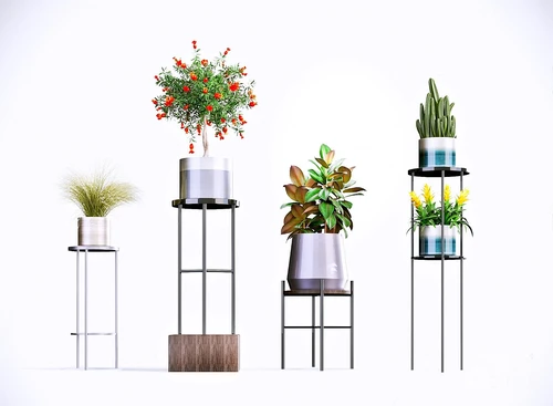 现代植物盆栽