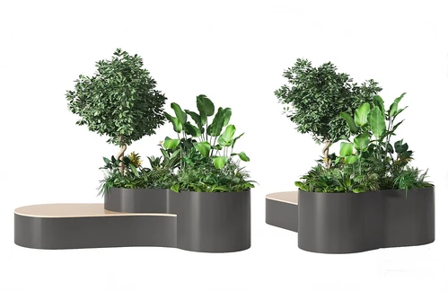 现代绿植盆景