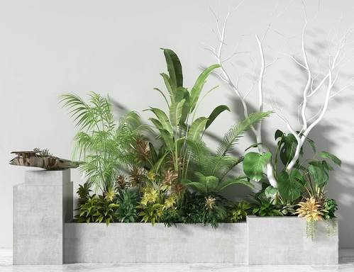 现代绿植盆栽花坛
