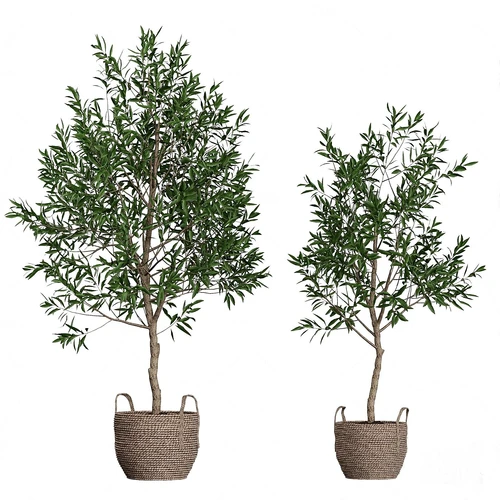 现代绿植盆栽