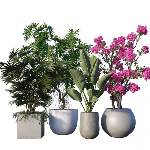 现代绿植盆栽