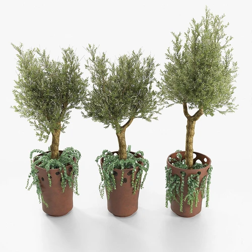 现代绿植盆栽