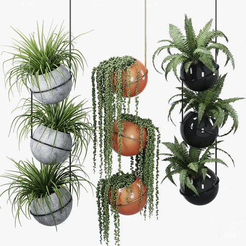现代吊篮绿植盆栽