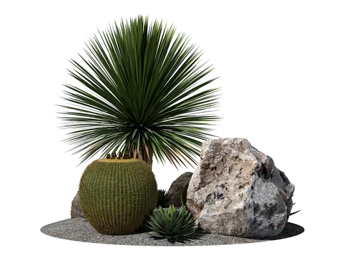 现代户外景观植物堆
