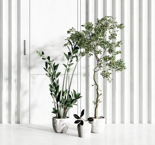 现代植物盆栽