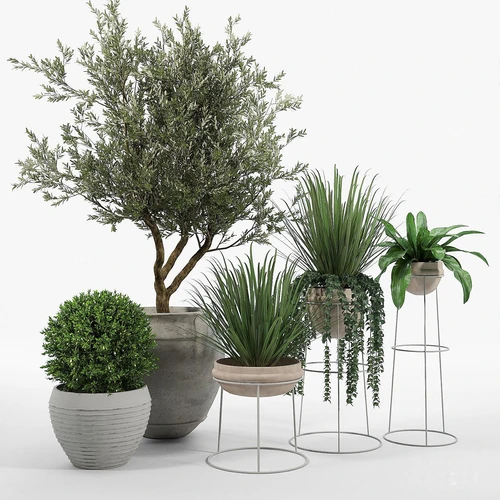 现代绿植盆栽