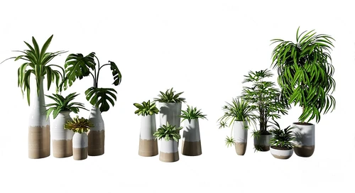 现代绿植盆栽