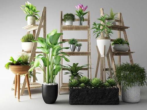 现代花架绿植盆栽