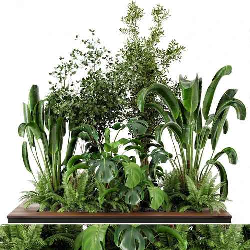 现代绿植盆栽