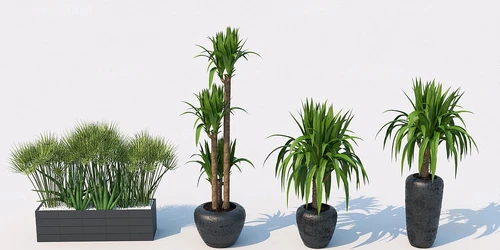 现代绿植盆栽