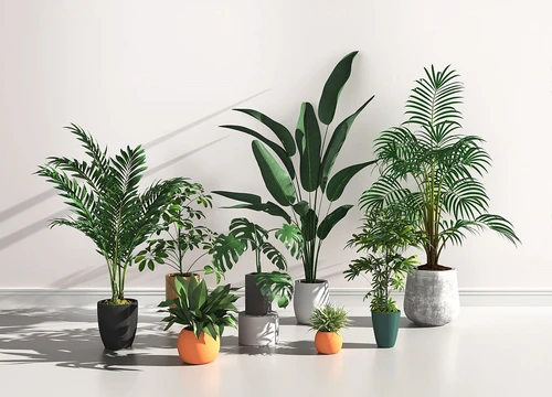 现代芭蕉绿植盆栽