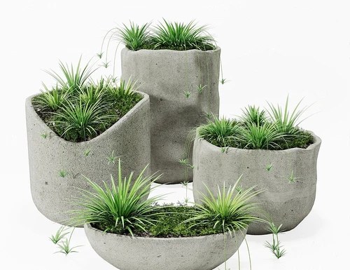 现代吊兰植物盆栽