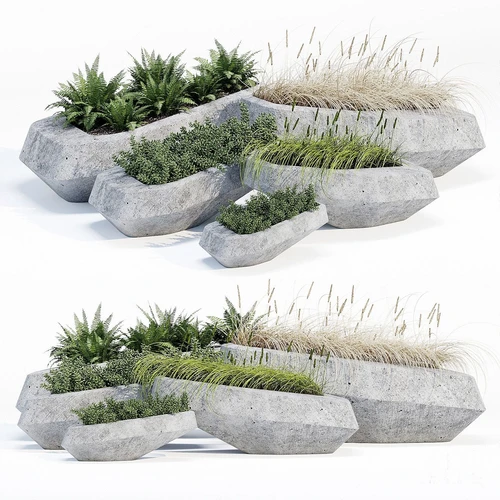 现代户外绿植盆栽