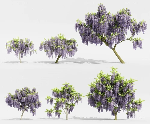 现代花树景观树