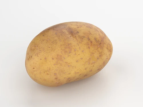 现代土豆
