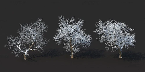 现代雪景树景观树