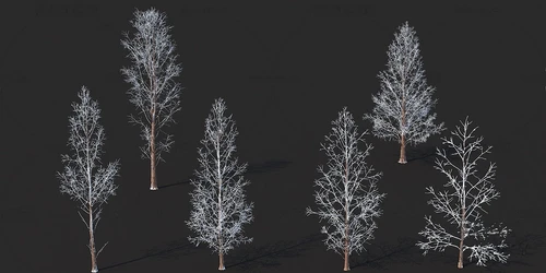 现代雪景树景观树