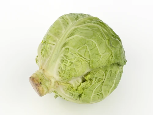 卷心菜