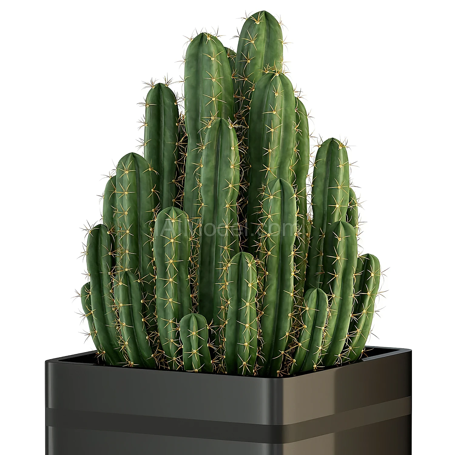 img2