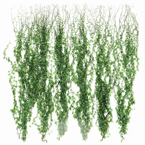 现代爬墙虎藤曼植物
