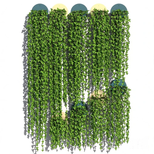 现代绿植藤蔓
