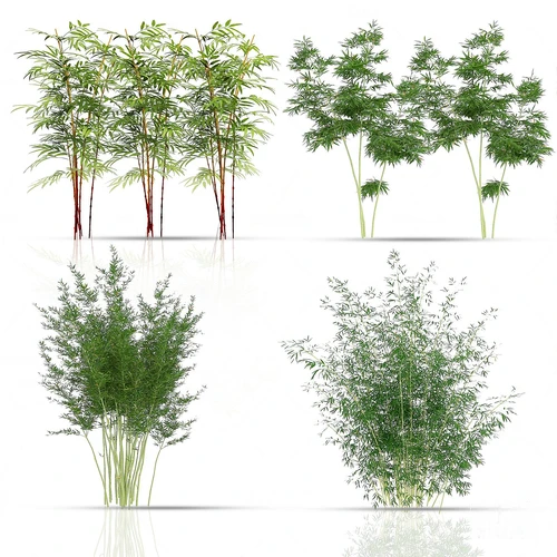 现代绿植竹子