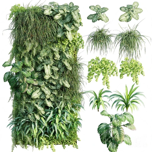 现代绿植植物墙