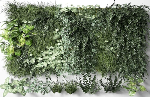 现代绿植植物墙