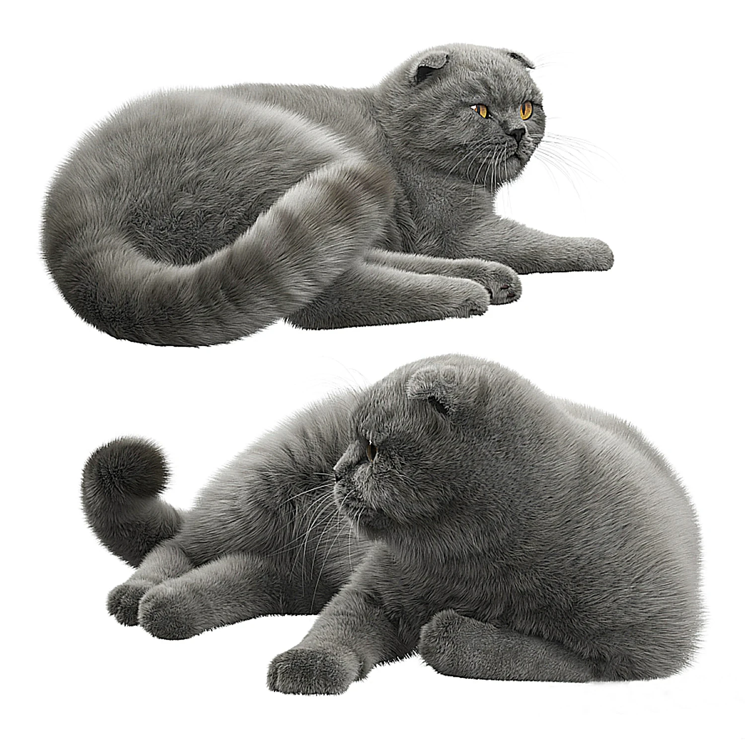 img2