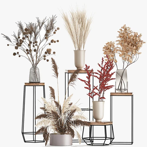 collection植物盆栽