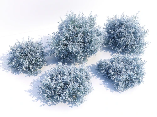 现代草3D模型
