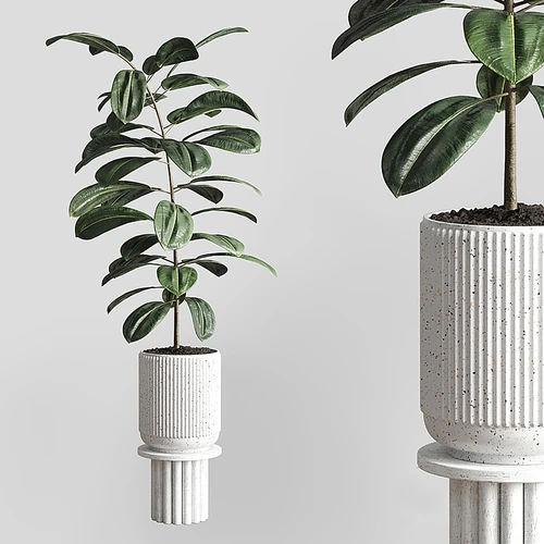 现代植物盆栽3D模型
