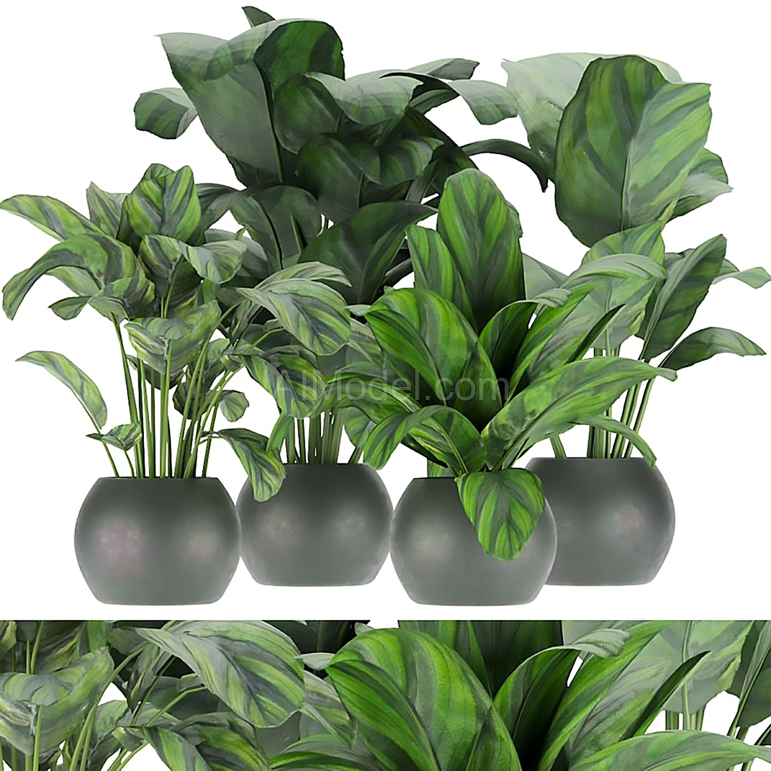 img2