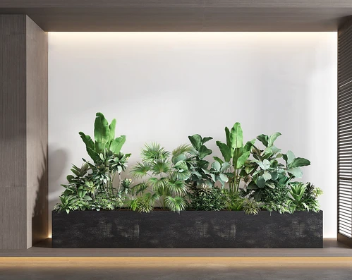 现代植物堆