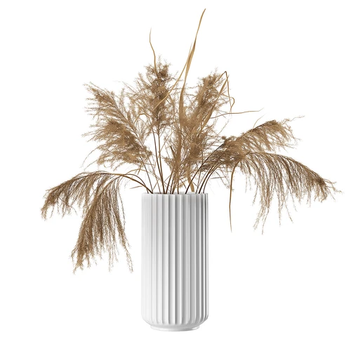 干花植物