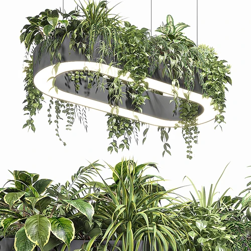 现代植物吊灯